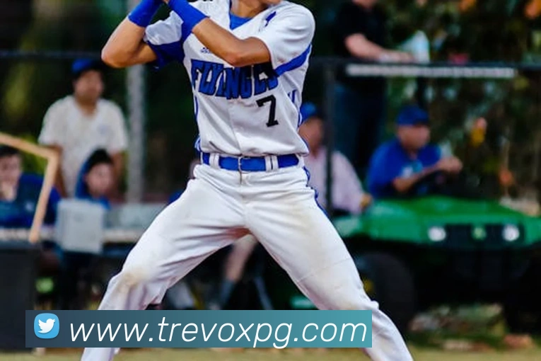 pg官网平台生态图