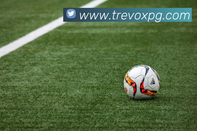 pg官网APP 封面图